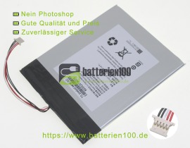 3449119-1S2P Akkus (3.8V 22.8Wh) image 1
